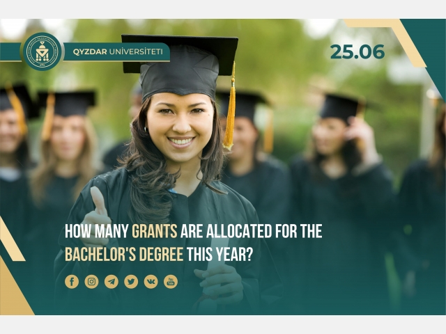 How many grants are allocated for the bachelor's degree this year?